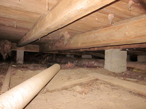 Pier And Beam Exclusions - Sealing A Crawlspace In Austin | Critter Ridder Pier And Beam Exclusions - Sealing A Crawlspace In Austin | Critter Ridder